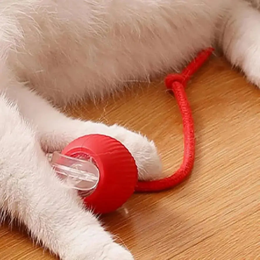 Interactive Ball Pet Toy Paws and Purrz