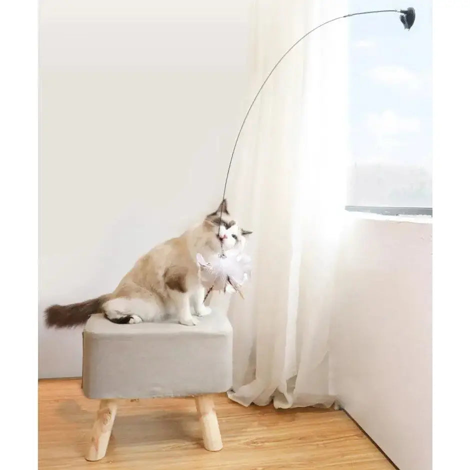 Interactive Bird Simulation Cat Toy - Paws and Purrz