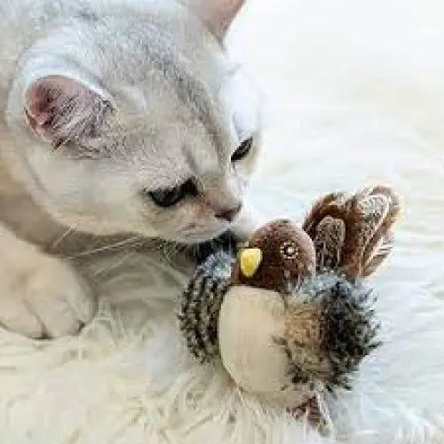 Interactive Chirping Bird Toy Paws and Purrz
