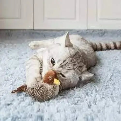 Interactive Chirping Bird Toy Paws and Purrz