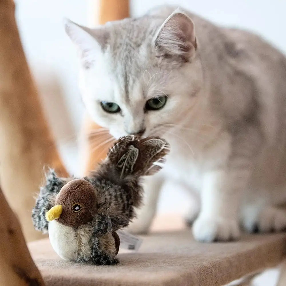 Interactive Chirping Bird Toy Paws and Purrz