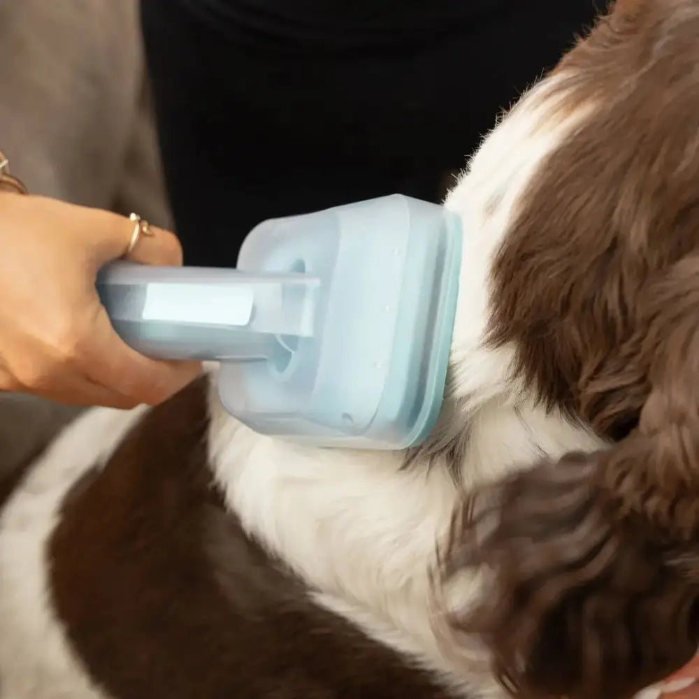 Paws & Purrz Advanced Pro 7-in-1 Grooming Kit + 7" Professional Pet Grooming Shears Paws and Purrz