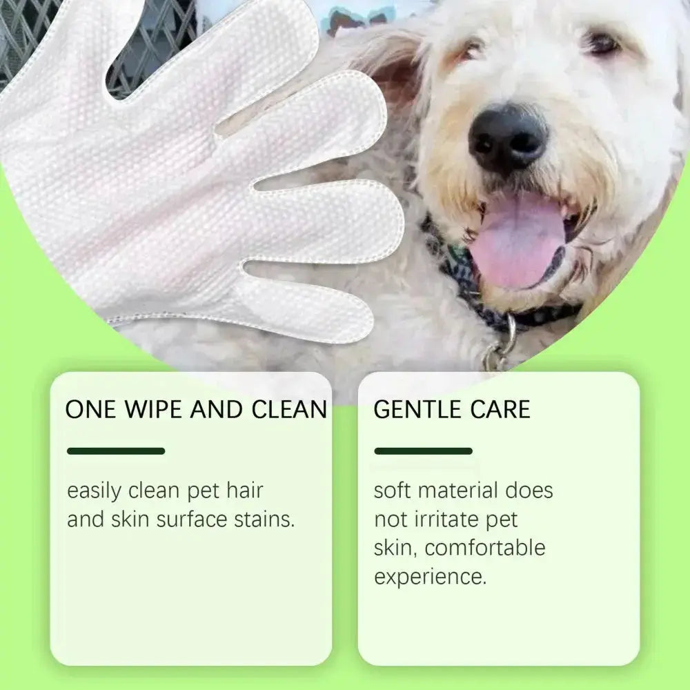 Paws & Purrz Grooming Glove Wipes Paws and Purrz