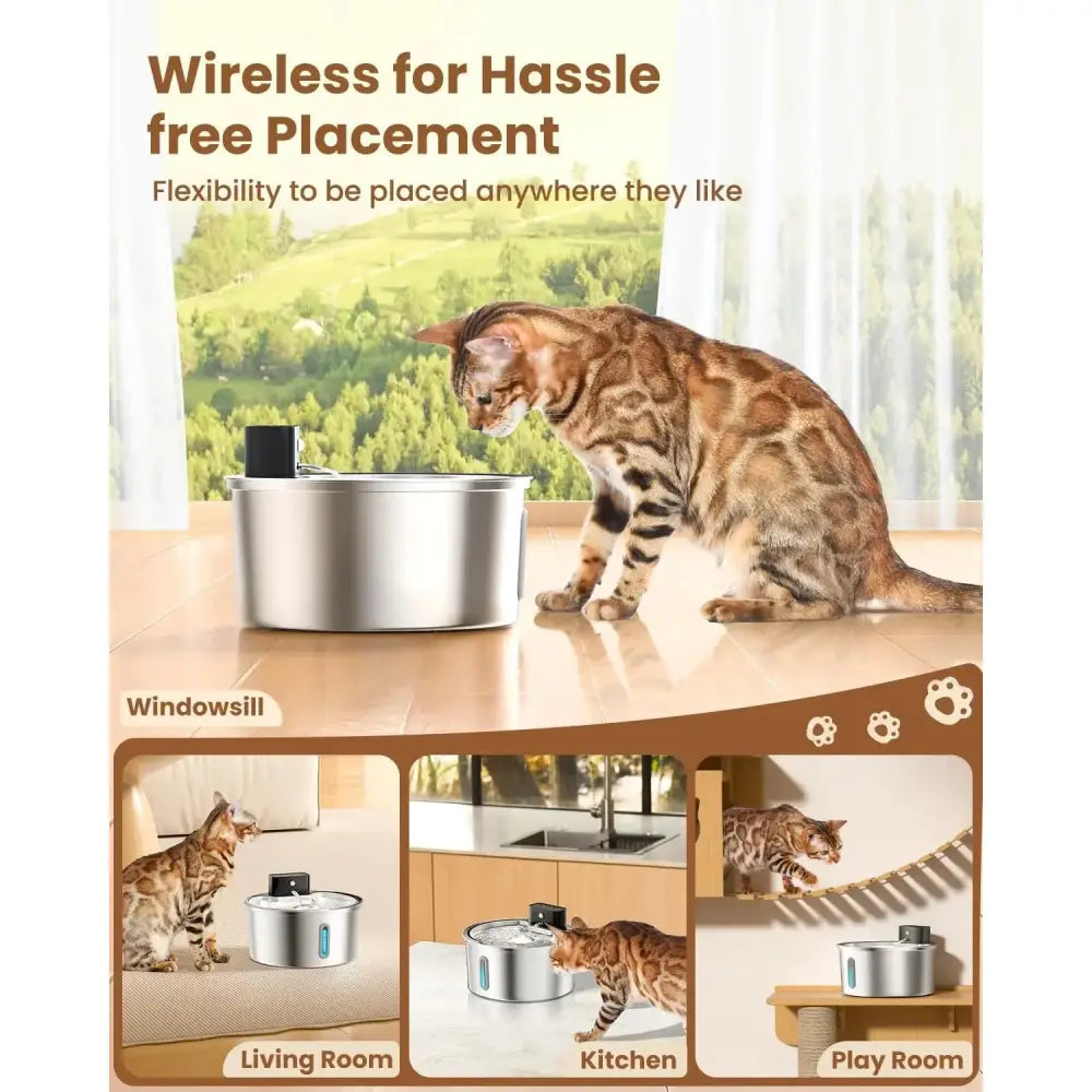 Paws & Purrz HydroFlow LED Automatic Pet Water Fountain Paws and Purrz