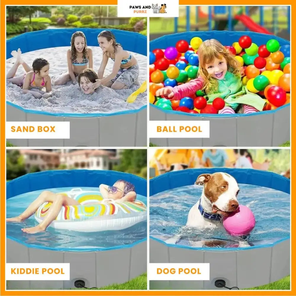 Paws & Purrz Summer Splash Doggy Pool Paws and Purrz
