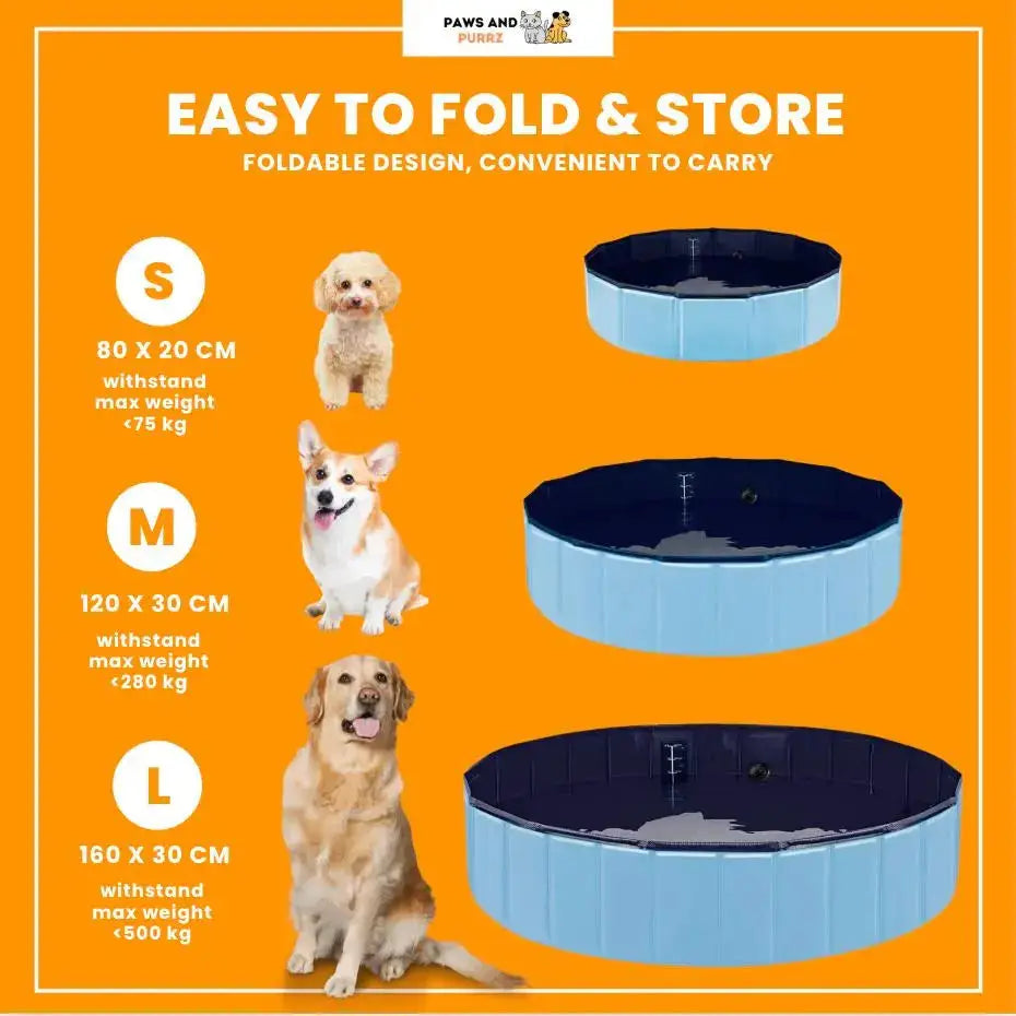 Paws & Purrz Summer Splash Doggy Pool Paws and Purrz