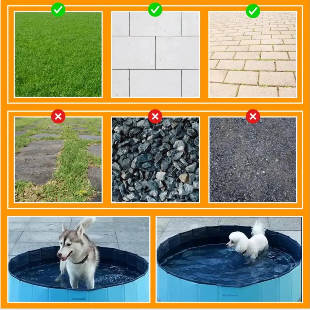 Paws & Purrz Summer Splash Doggy Pool Paws and Purrz