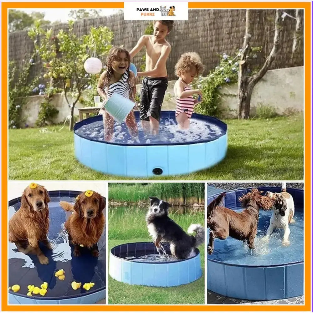 Paws & Purrz Summer Splash Doggy Pool Paws and Purrz