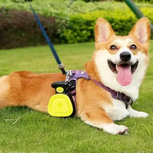 Paws & Purrz SwiftGrip™ Pet Poop Scooper with Waste Bag Dispenser Paws and Purrz