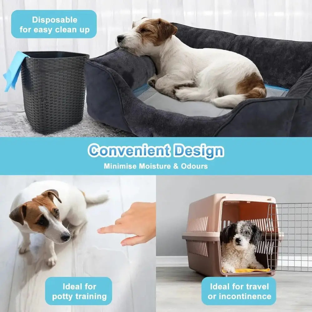 Paws & Purrz Ultra Absorbent Pet Training Pads (60cm x 90cm) Paws and Purrz