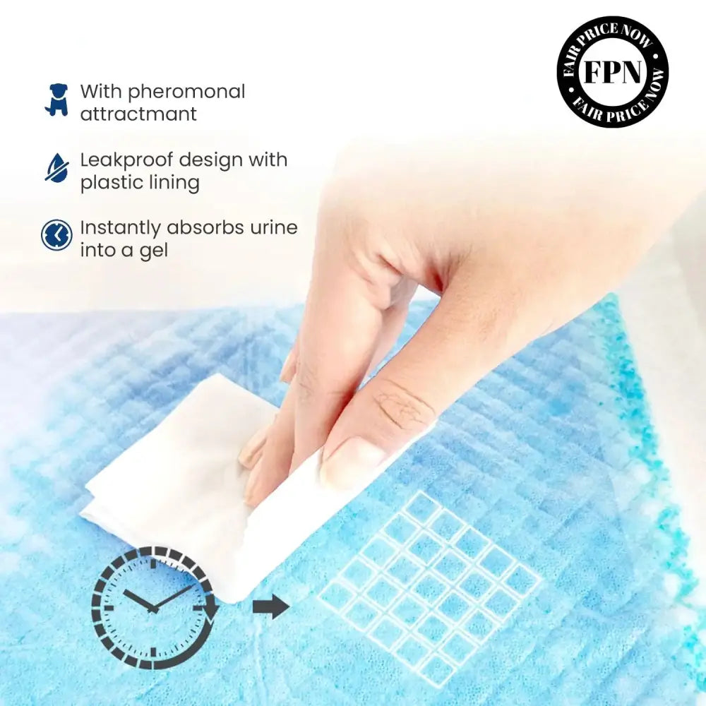Paws & Purrz Ultra Absorbent Pet Training Pads (60cm x 90cm) Paws and Purrz
