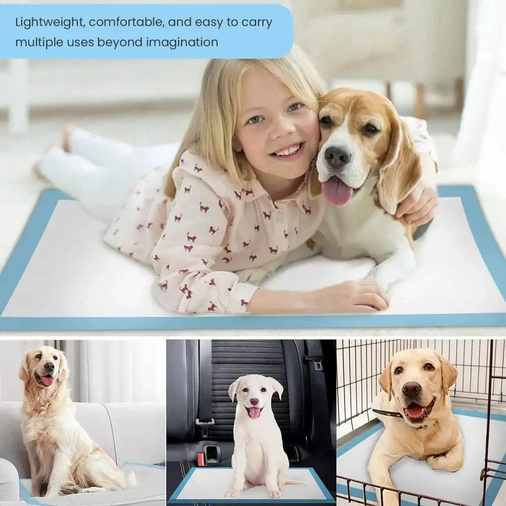 Paws & Purrz Ultra Absorbent Pet Training Pads (60cm x 90cm) Paws and Purrz