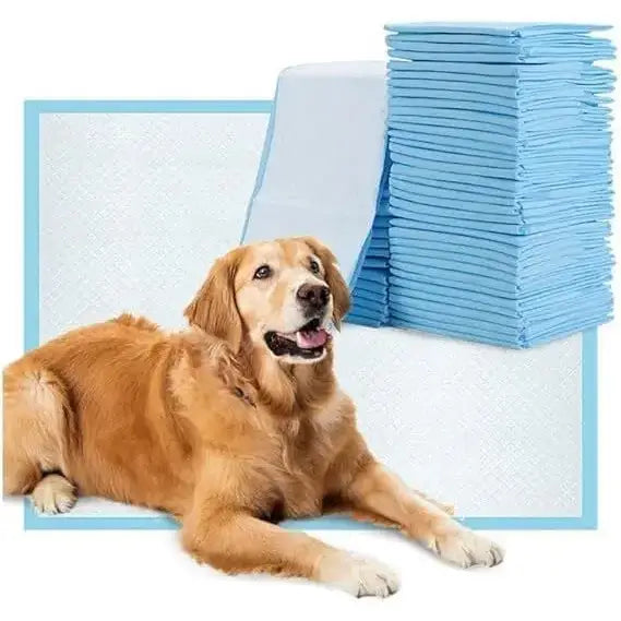Paws & Purrz Ultra Absorbent Pet Training Pads (60cm x 90cm) Paws and Purrz