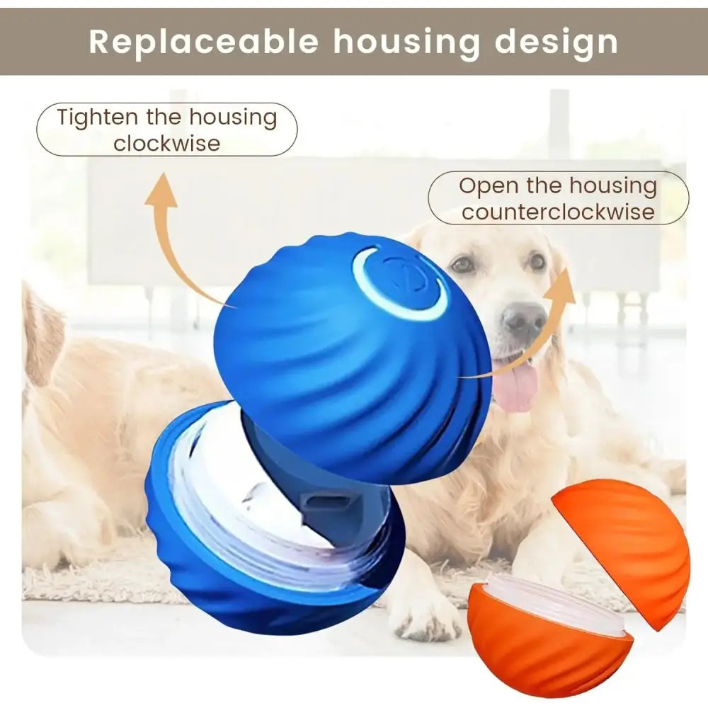 Paws & Purrz Wonder Ball Motion Toys Paws and Purrz