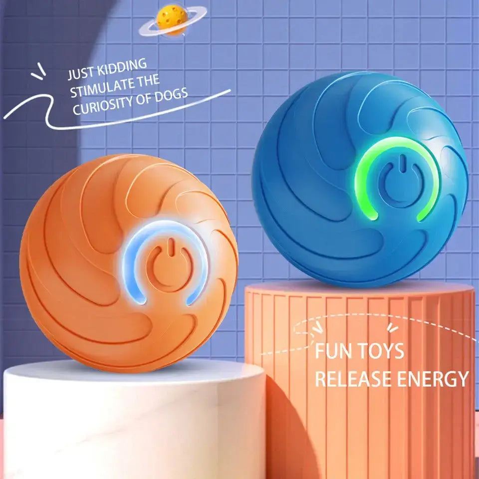 Paws & Purrz Wonder Ball Motion Toys Paws and Purrz