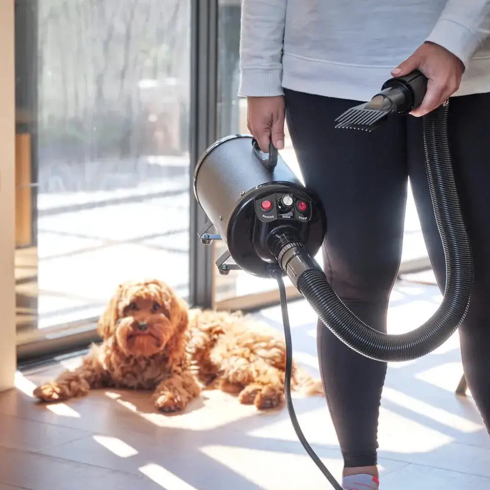 Pet Grooming Dryer – Fast & Quiet Grooming Blower Paws and Purrz