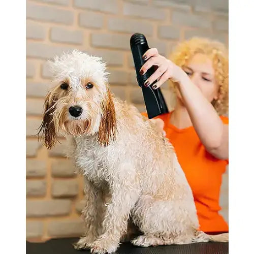 Pet Grooming Dryer – Fast & Quiet Grooming Blower Paws and Purrz