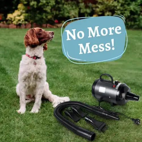 Pet Grooming Dryer – Fast & Quiet Grooming Blower Paws and Purrz