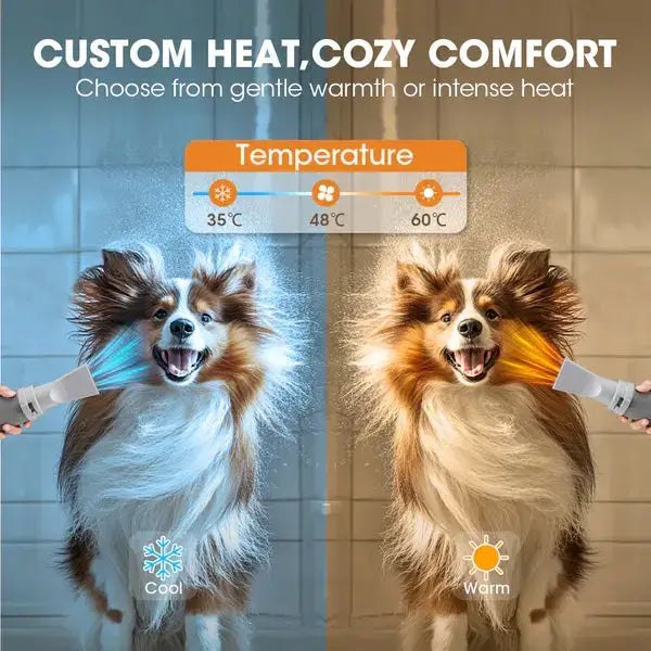 Pet Hair Dryer for Dog & Cat Paws and Purrz