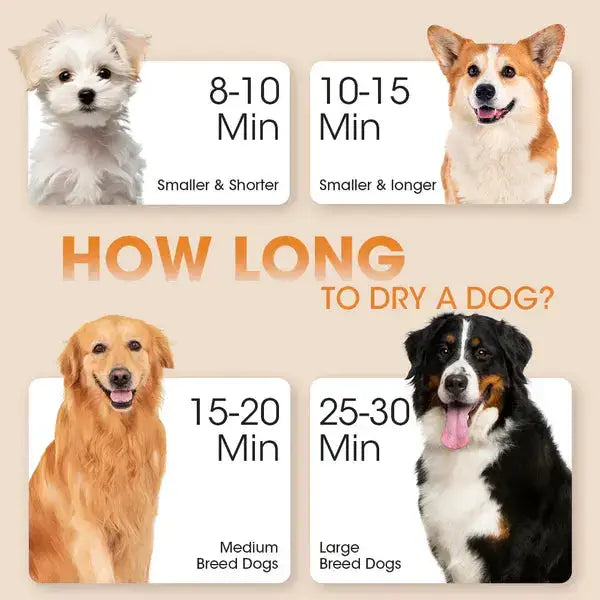 Pet Hair Dryer for Dog & Cat Paws and Purrz