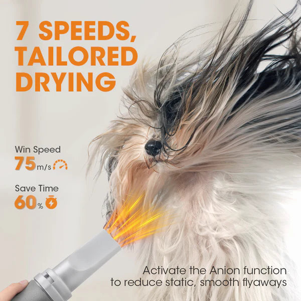 Pet Hair Dryer for Dog & Cat