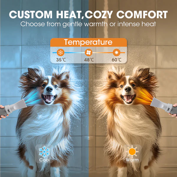 Pet Hair Dryer for Dog & Cat