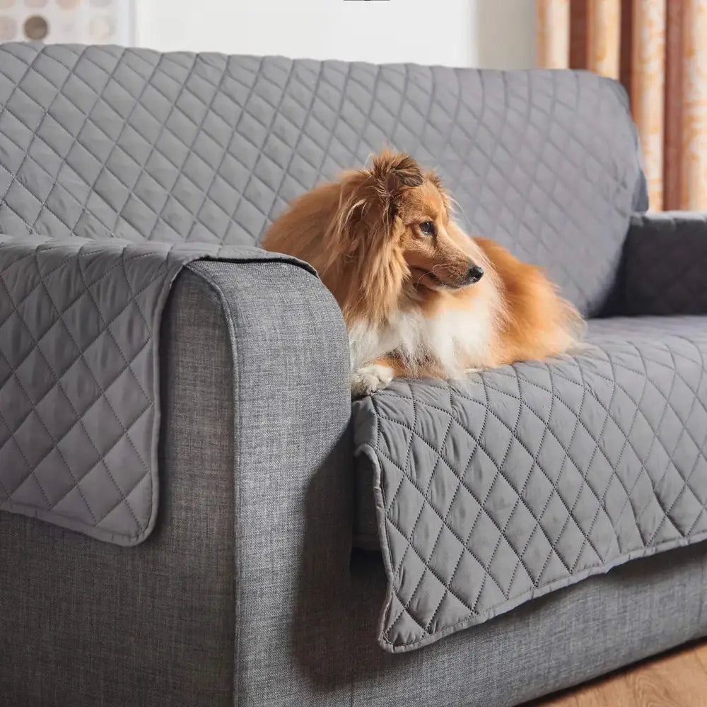 Pets Anti-Scratch Couch Cover Paws and Purrz