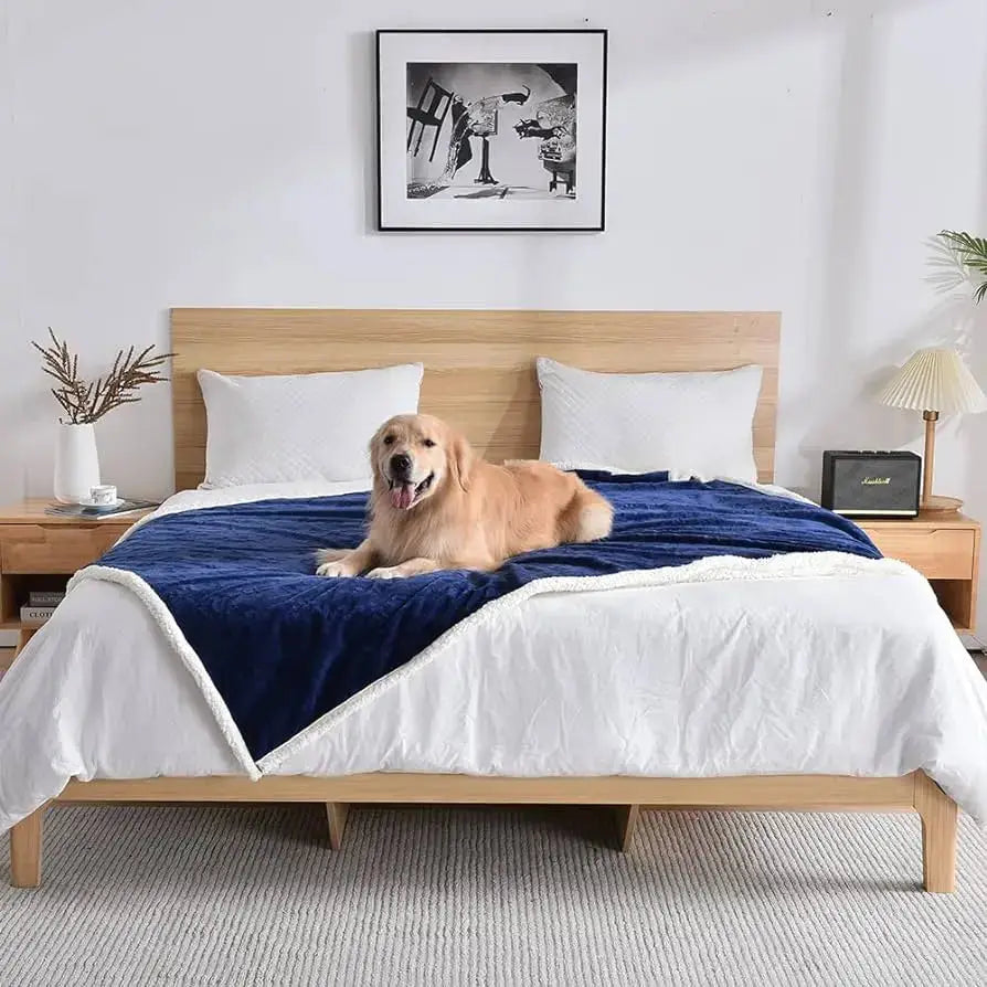 Pets Waterproof Throw Blanket Paws and Purrz