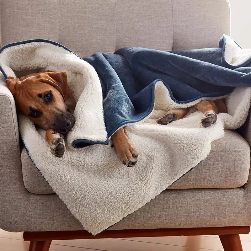 Pets Waterproof Throw Blanket Paws and Purrz