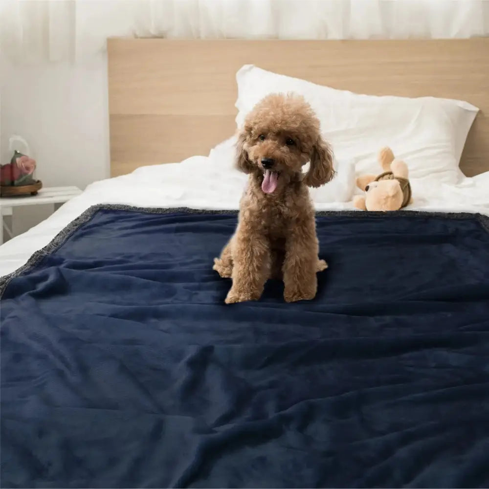 Pets Waterproof Throw Blanket Paws and Purrz