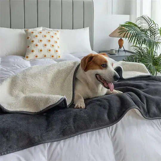 Pets Waterproof Throw Blanket Paws and Purrz