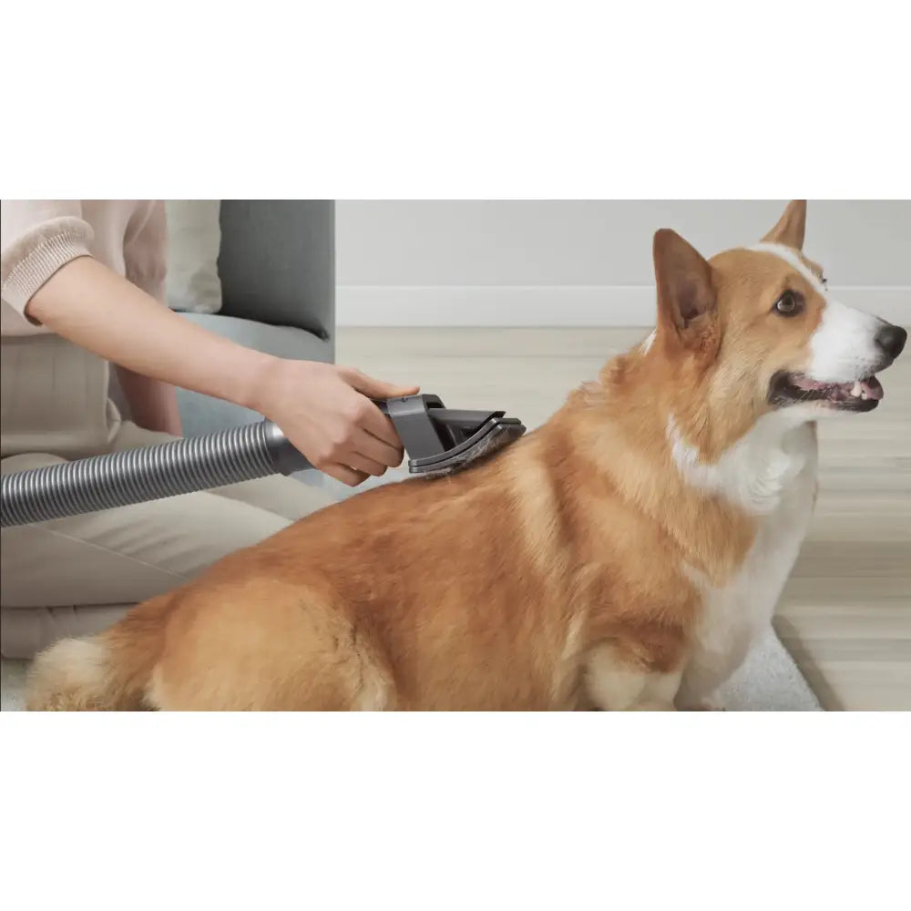 PetVac Grooming Kit Paws and Purrz