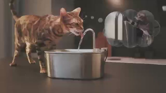 Advanced Pet Filtered Water Fountain Pro