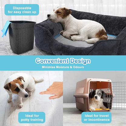Paws & Purrz Ultra Absorbent Pet Training Pads (60cm x 90cm)