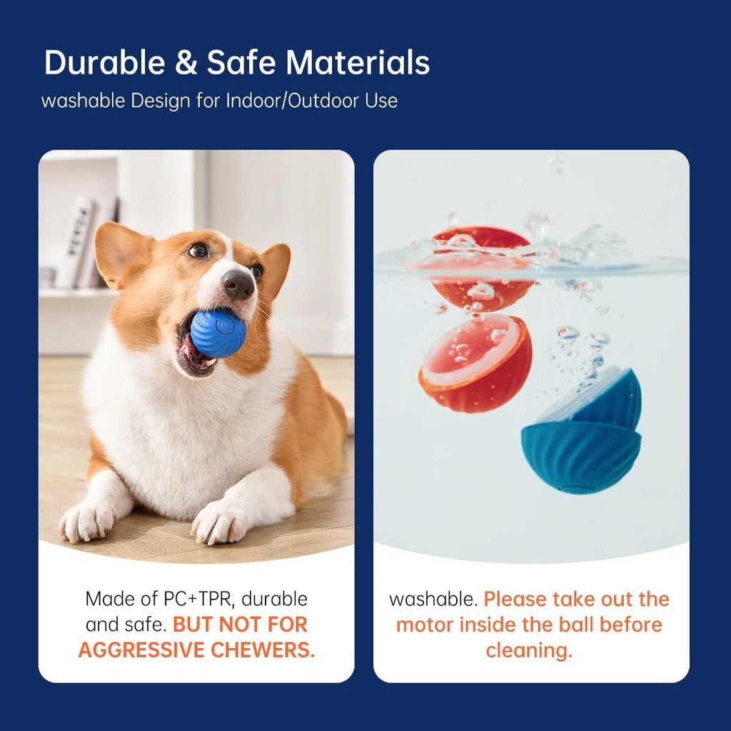 Paws & Purrz Wonder Ball Motion Toys