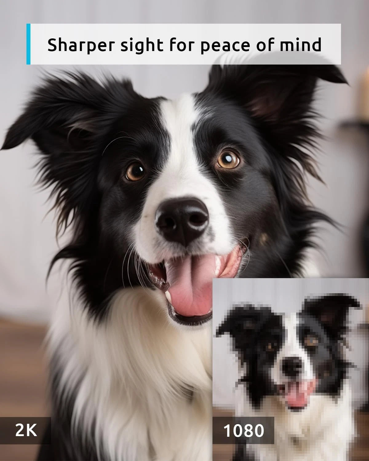 Paws & Purrz 2K Smart Pet Camera