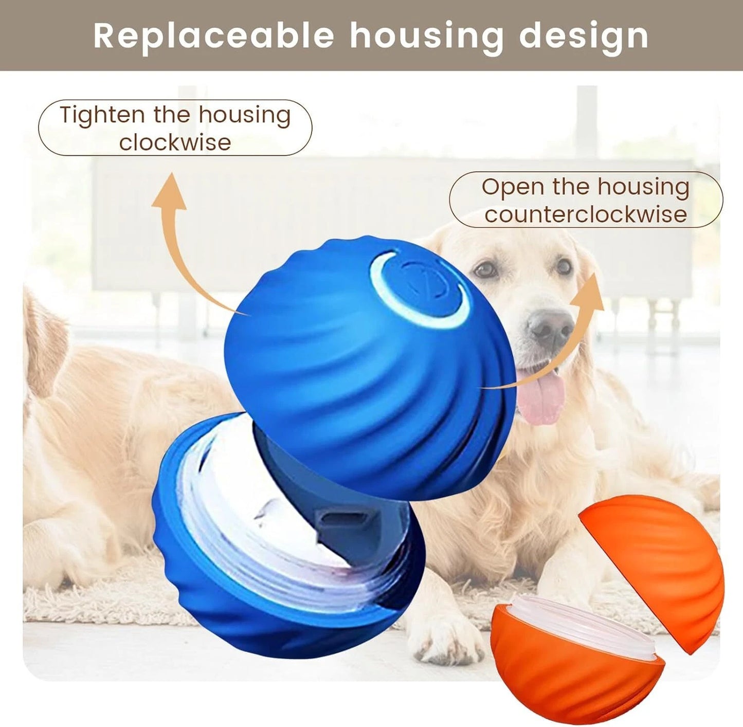Paws & Purrz Wonder Ball Motion Toys