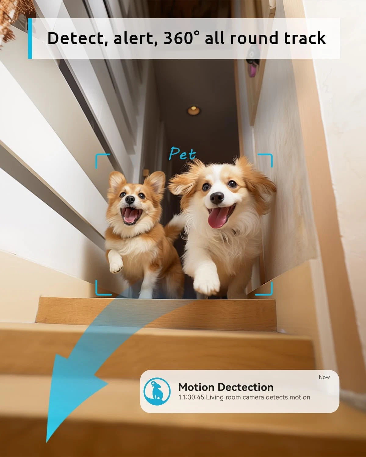Paws & Purrz 2K Smart Pet Camera