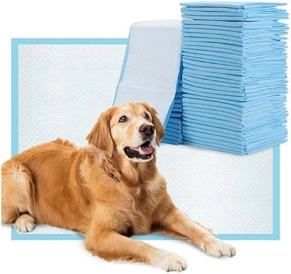 Paws & Purrz Ultra Absorbent Pet Training Pads (60cm x 90cm)