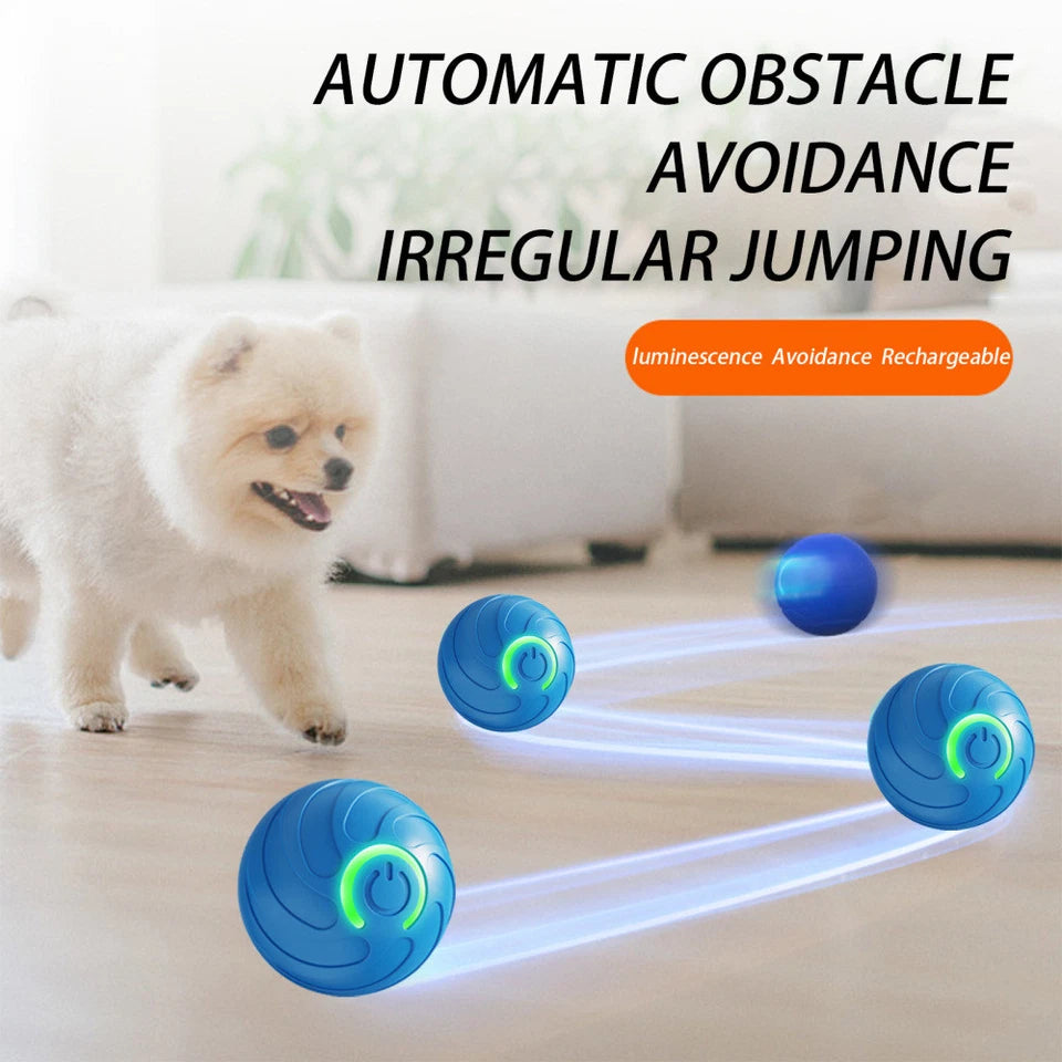 Paws & Purrz Wonder Ball Motion Toys