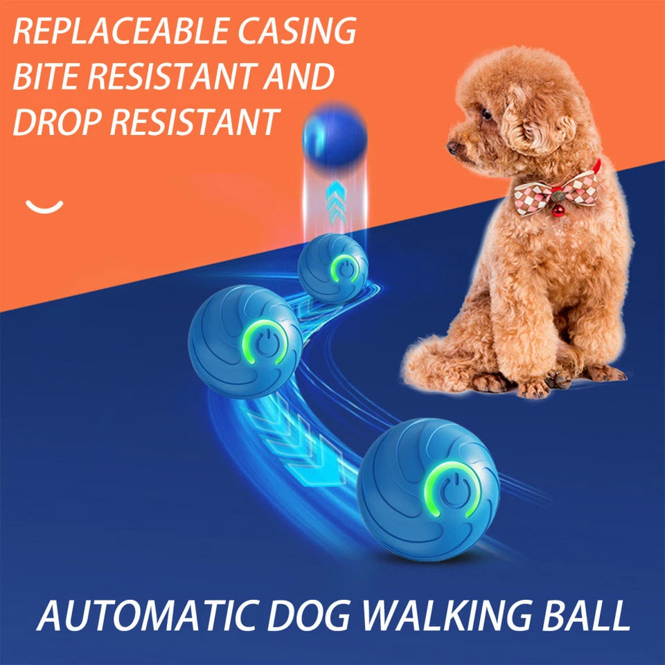 Paws & Purrz Wonder Ball Motion Toys