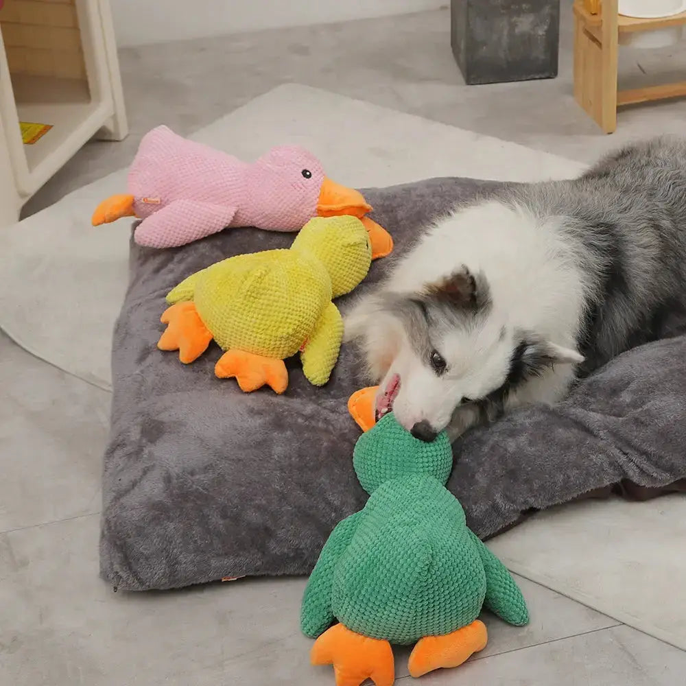 The Calming Duck Paws and Purrz