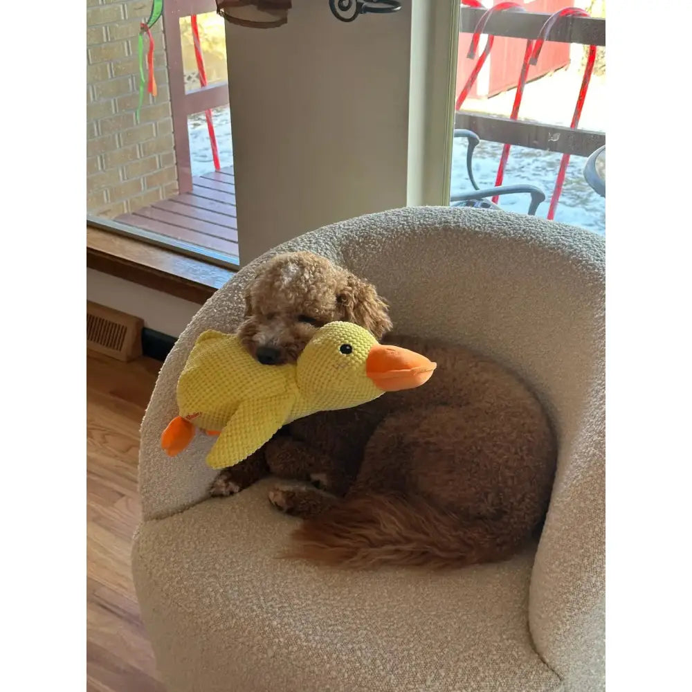 The Calming Duck Paws and Purrz