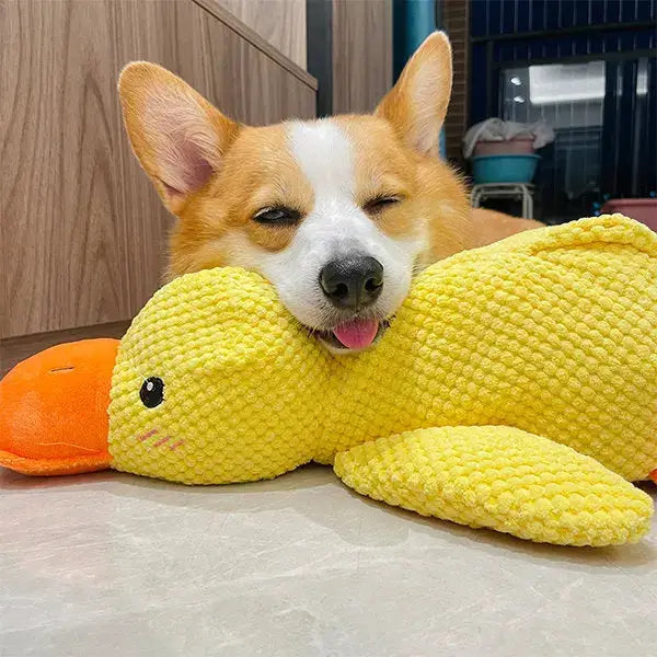 The Calming Duck Paws and Purrz
