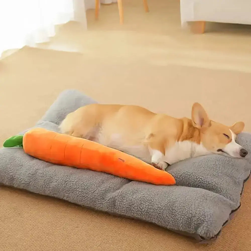 The Snuggle Carrot -  The Smart Soothing Toy for Anxious Pups Paws and Purrz