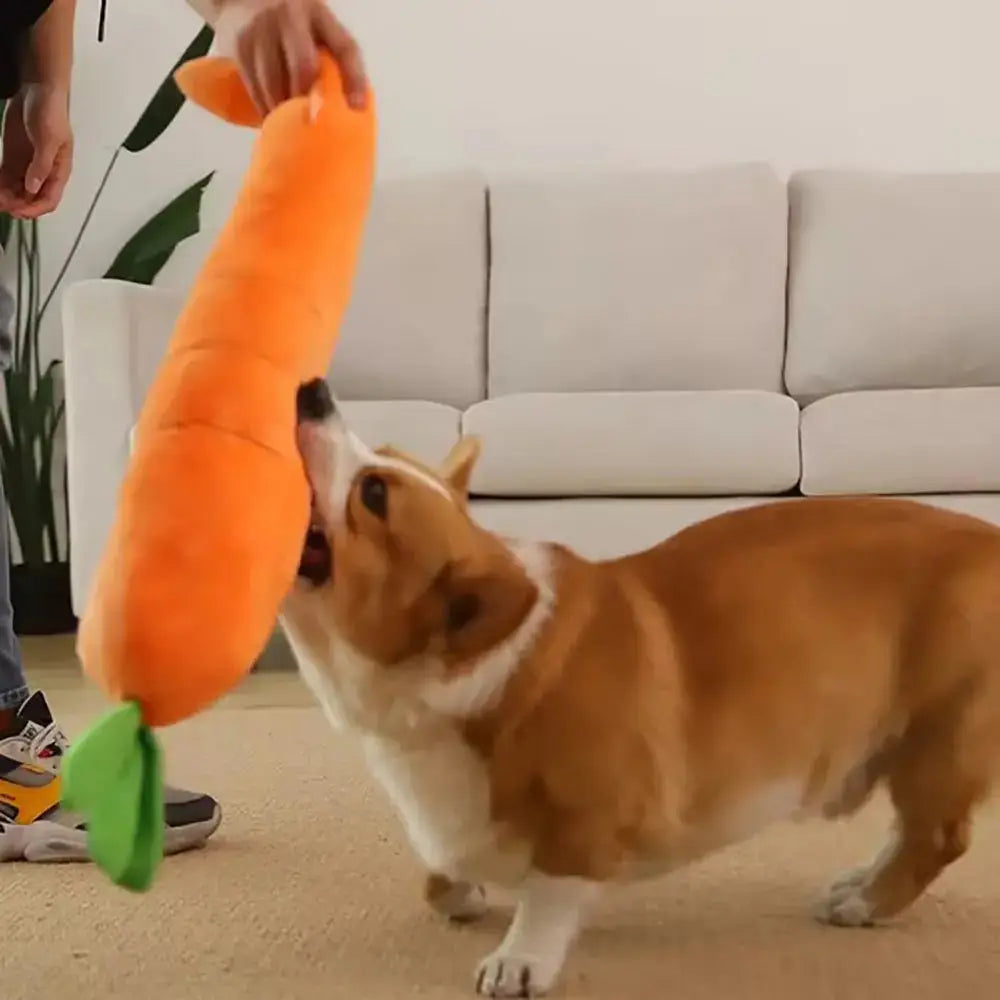 The Snuggle Carrot -  The Smart Soothing Toy for Anxious Pups Paws and Purrz