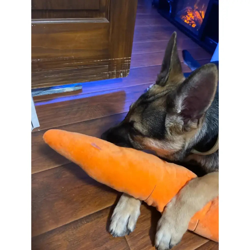 The Snuggle Carrot -  The Smart Soothing Toy for Anxious Pups Paws and Purrz