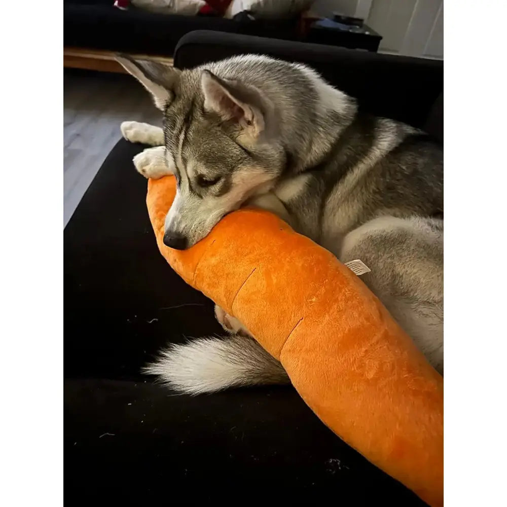 The Snuggle Carrot -  The Smart Soothing Toy for Anxious Pups Paws and Purrz