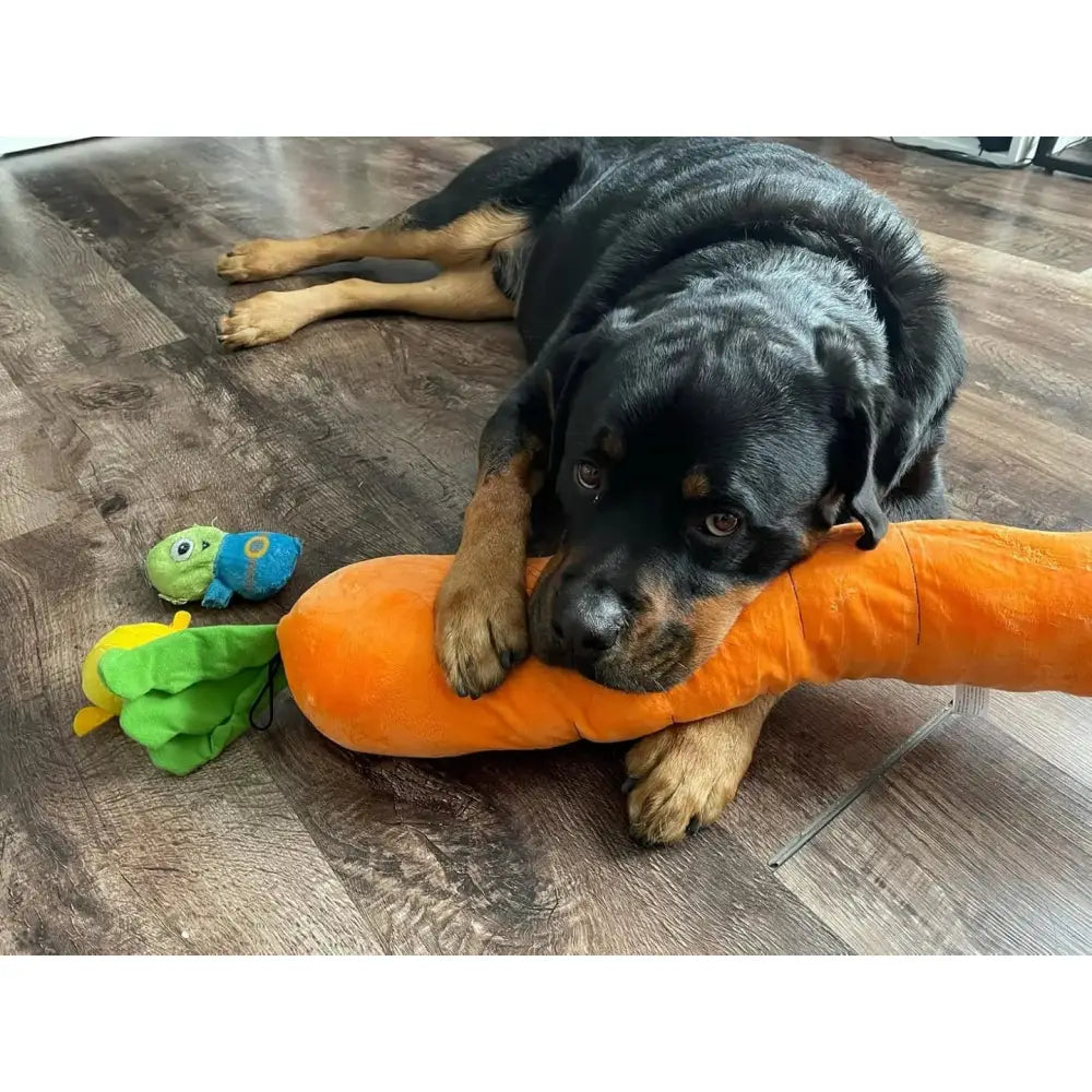 The Snuggle Carrot -  The Smart Soothing Toy for Anxious Pups Paws and Purrz
