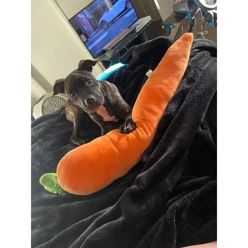 The Snuggle Carrot -  The Smart Soothing Toy for Anxious Pups Paws and Purrz